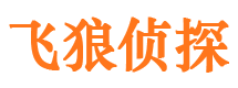 无极市调查公司